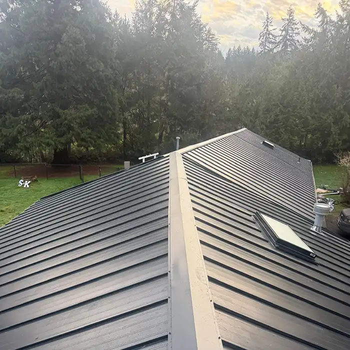 view from metal roof on residential home near trees
